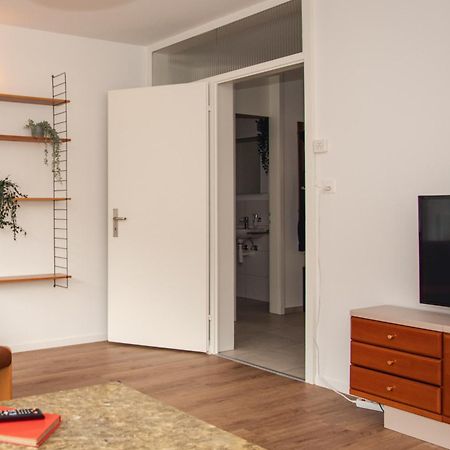 Spacious Apartment Next To Rhine Bázel Kültér fotó