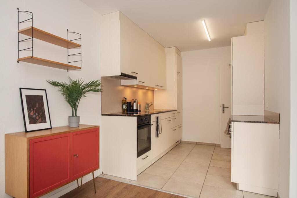 Spacious Apartment Next To Rhine Bázel Kültér fotó