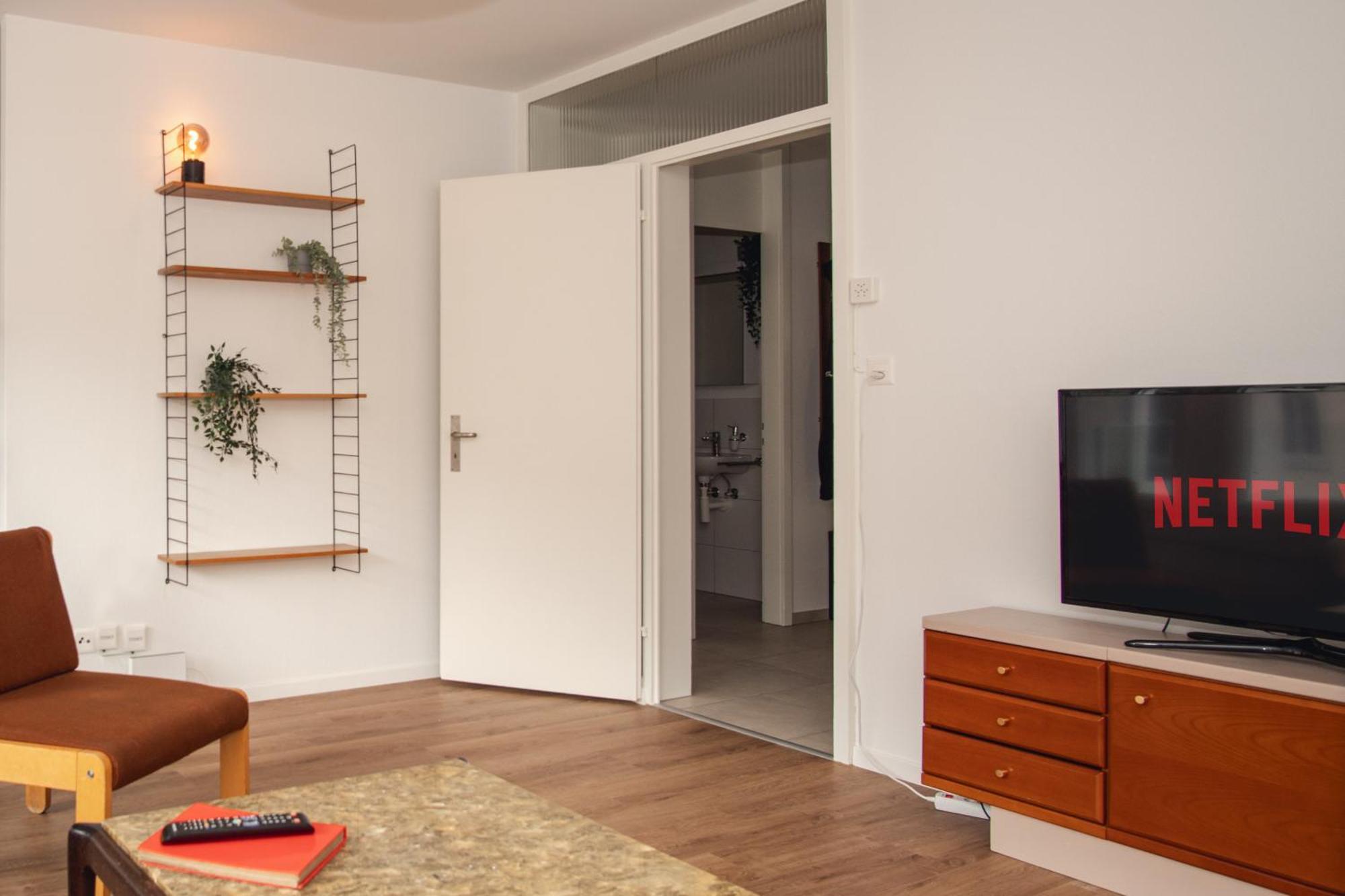 Spacious Apartment Next To Rhine Bázel Kültér fotó